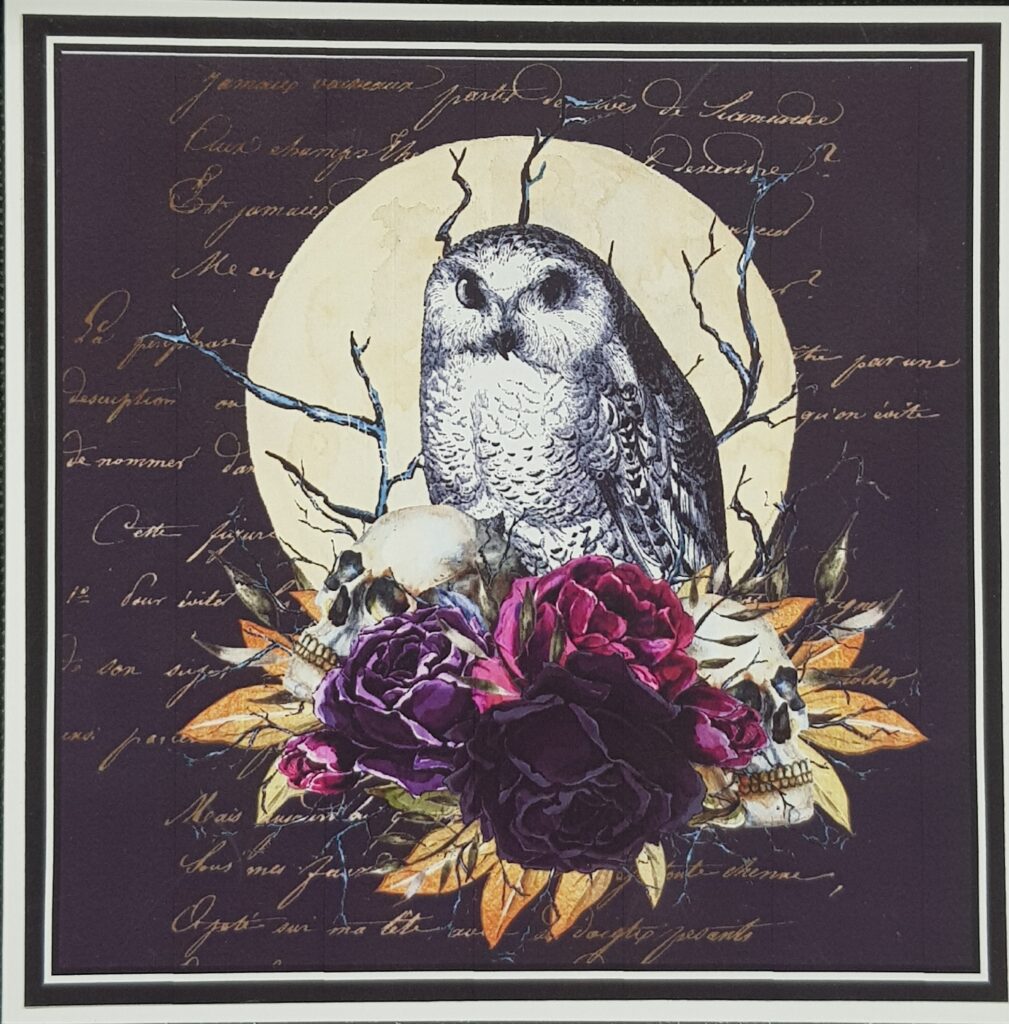 Owl