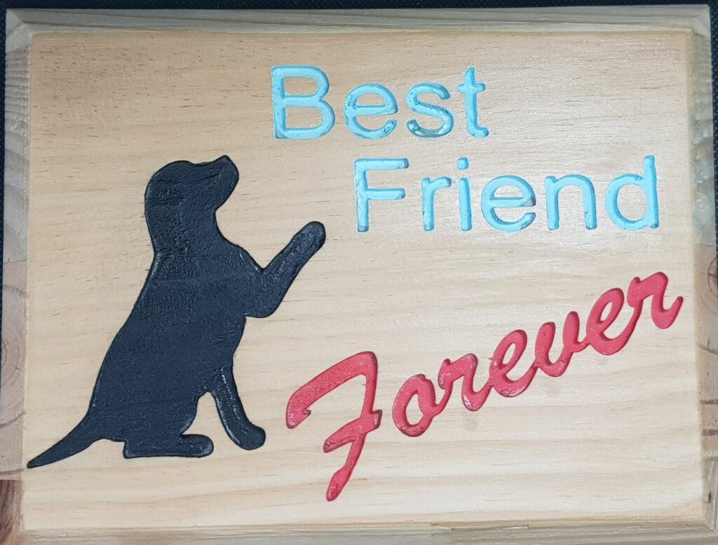 Best Friend Forever