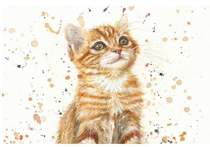 Marmalade