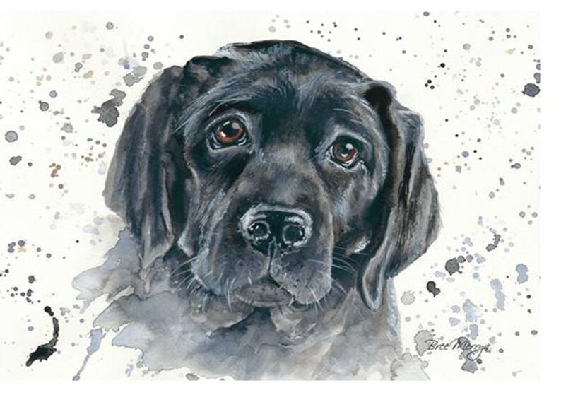 Marley