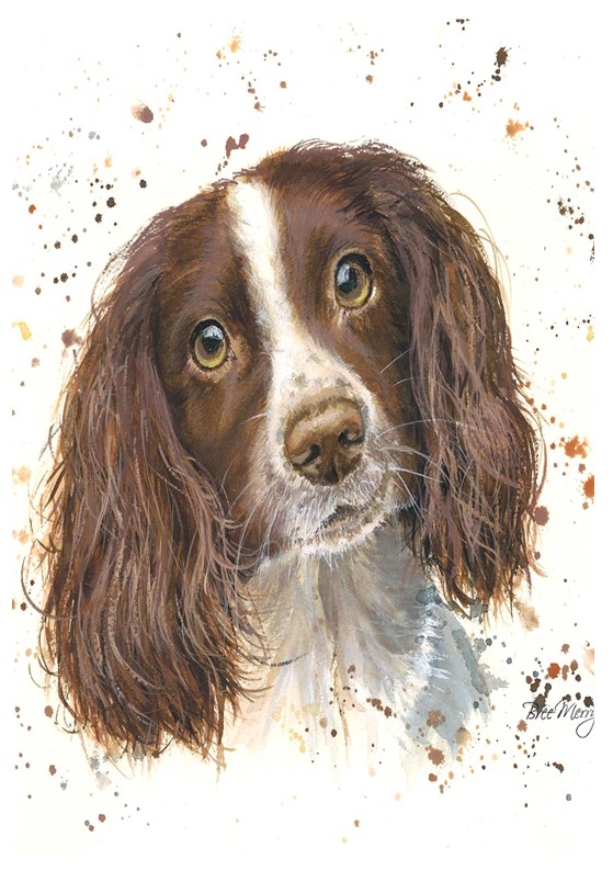Sammy