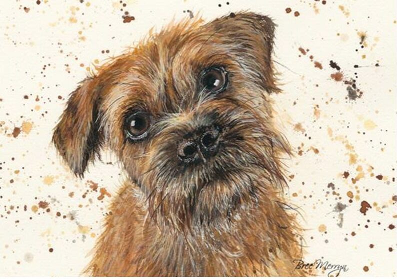 Scruffy