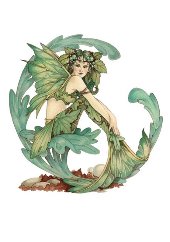 Seaweed Maid 2